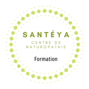 cropped Logo santeya formation